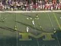 2005 Ohio State at Michigan Highlight Video 