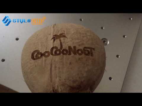 Affordable CO2 Laser Fruit Marking Machine for Coconut
