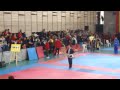 Alvaro Olivos - Wushu Chile Primer Lugar formas avanzadas adulto