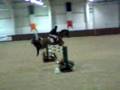 Addington Equestrian Centre Opening