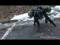 big dog chien robot