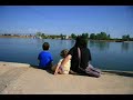 Lo riu és vida (Delta de l\ Lo riu és vida (Delta de l\