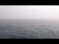 Fog over the Grand Banks Transatlantic Race 2011