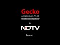 Gecko India
