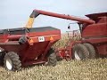 2006 corn harvest 2006 corn harvest