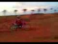 Crf 230