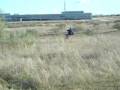 videos de D.GRANDE 2