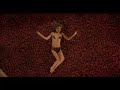 American Beauty Spoof