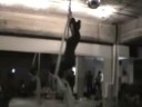 フィットネス＆ダンススタジオレント　エアリアルティシュー