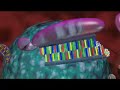 RNAi is cool