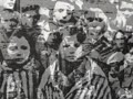 shoah images shoah images
