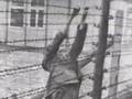 shoah images