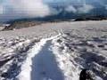 Glissade from Camp Muir