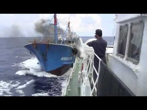 Chinese, Japan Ship Collision Video Now Up 0 Chinese, Japan Ship Collision Video Now Up