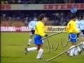 Gol de mão de Túlio Maravilha contra a Argentina.