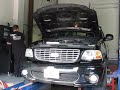 SVT Lightning Dyno Pull