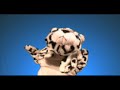 TDTV - talking dog tv