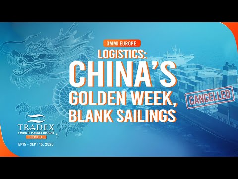 3MMI Europe: EUR Logistics: Spot Rates Slide, China’s Golden Week, Blank Sailings
