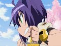 amv kyouran kazoku nikki