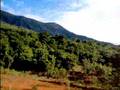 Camino a Kuranda.