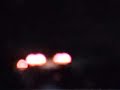 c5 vs mustang Cobra