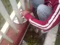 C.Platoybotella(ideas para divertirte en navidad con r15)