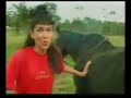 Aprendera o porque não devemos passar por baixo dos cavalos!