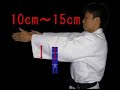 a new Judogi control equipment