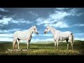 VFX Demo reel VFX Demo reel