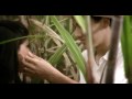 Flex Nigga Dime Si Te Vas Con El (Feat. Mr. Saik)