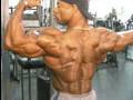 Pro-bodybuilders-fro