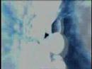 y t� qu� sabes?