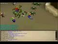 Fun At the Kalphite Queen