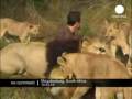 rub with Loin in, Magaliesburg,South Africa = Narmiimhsah@yahoo.com