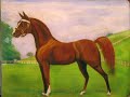 Calling all horse lovers!!!