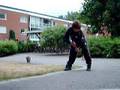 forza zorro/innebandy/zorro/floorball/hallenhockey