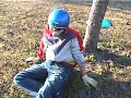 go cart crash into tree
