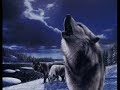 borninhell - The sign of the wolf