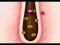 Revivogen Natural Hair Loss Solution for Men and Women Revivogen Natural Hair Loss Solution for Men and Women