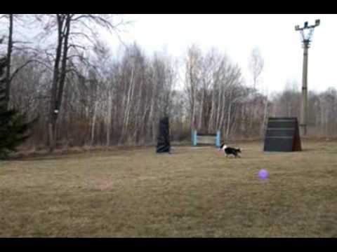 Youtube Video XqxjDNRjj8I