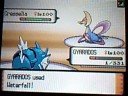 battle (10) vs guy from serebii