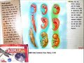 This video will show the evidence the Ernst Haeckel's frauded pictures.