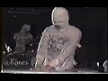 The Mummies - The Fly