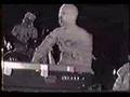 The Mummies - The Fly