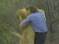 Are animals really emotionless? After a year of living in the wild, Christian the lion is reunited with the men who raised her in captivity [amazing video]