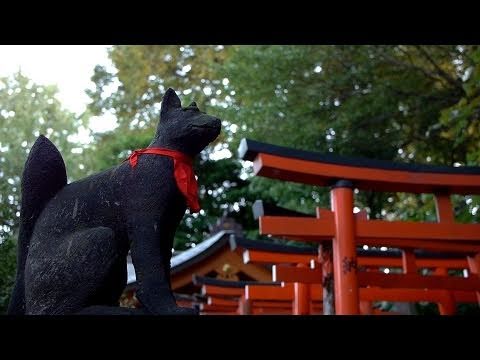 YouTube Preview Image