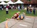 sumo wrestle dolls