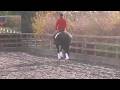 videos de www.visiondressage.co.uk Zing - Part 1