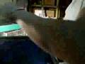 claces de estampar con el profe luigui