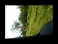 Elephants in Bandipur WildLife Safari